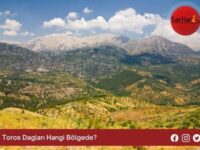 Toros Dagları Hangi Bölgede