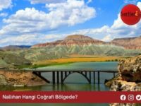 Nallıhan Hangi Coğrafi Bölgede