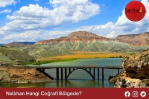 Nallıhan Hangi Coğrafi Bölgede