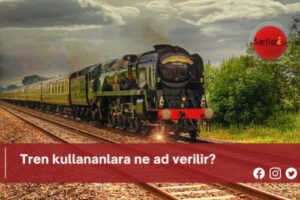 Tren kullananlara ne ad verilir?