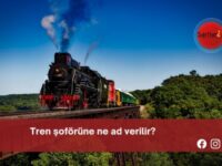 Tren şoförüne ne ad verilir?