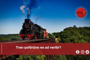 Tren şoförüne ne ad verilir?