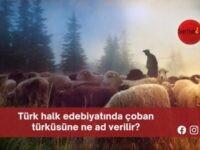Türk halk edebiyatında çoban türküsüne ne ad verilir?