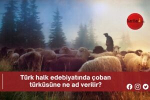 Türk halk edebiyatında çoban türküsüne ne ad verilir?