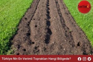 Türkiye Nin En Verimli Toprakları Hangi Bölgede