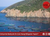 Türkiye’de Balıkçılık En Çok Hangi Bölgede Yapılır