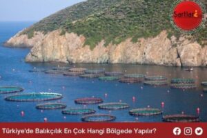 Türkiye’de Balıkçılık En Çok Hangi Bölgede Yapılır