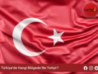 Türkiye’de Hangi Bölgede Ne Yetişir