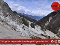 Türkiye’de Heyelan En Çok Hangi Bölgede Görülür