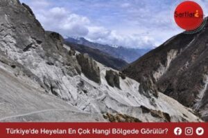 Türkiye’de Heyelan En Çok Hangi Bölgede Görülür