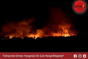 Türkiye’de Orman Yangınları En Çok Hangi Bölgede