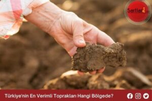 Türkiye’nin En Verimli Toprakları Hangi Bölgede