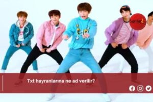 Txt hayranlarına ne ad verilir?