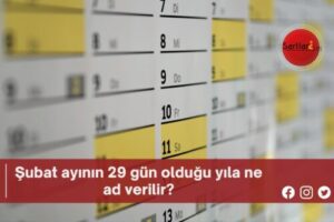 Şubat ayının 29 gün olduğu yıla ne ad verilir?