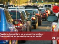 Yayaların, hayvanların ve araçların karayolları üzerindeki hâl ve hareketlerine ne ad verilir?