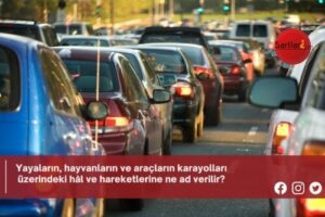 Yayaların, hayvanların ve araçların karayolları üzerindeki hâl ve hareketlerine ne ad verilir?