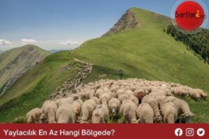 Yaylacılık En Az Hangi Bölgede