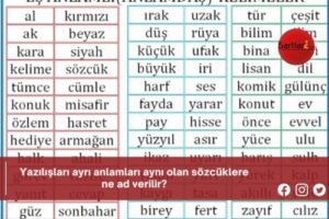 Yazılışları ayrı anlamları aynı olan sözcüklere ne ad verilir?