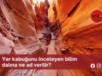 Yer kabuğunu inceleyen bilim dalına ne ad verilir?