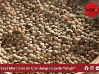 Yeşil Mercimek En Çok Hangi Bölgede Yetişir