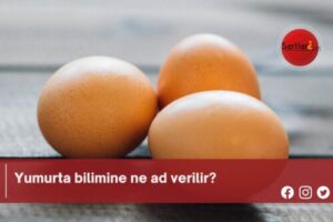 Yumurta bilimine ne ad verilir?