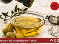 Zeytin Yağı Hangi Bölgede Yetişir