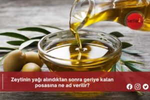 Zeytinin yağı alındıktan sonra geriye kalan posasına ne ad verilir?