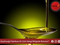 Zeytinyağı Fabrikası En Çok Hangi Bölgede Bulunur