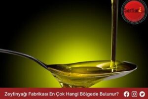 Zeytinyağı Fabrikası En Çok Hangi Bölgede Bulunur