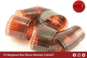 Trt Belgesel Bal Ülkesi Nerede Çekildi