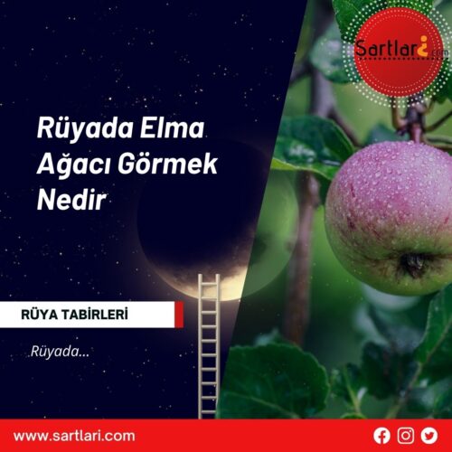 Rüyada Elma Ağacı Görmek Nedir