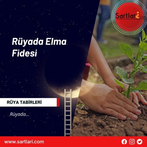 Rüyada Elma Fidesi