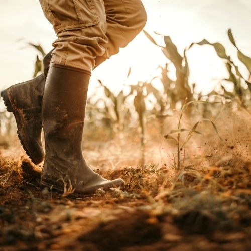 Çiftçiye En Çok Kazandıran Tarım Ürünleri 2023