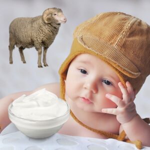 6 Aylık Bebeğe Koyun Yoğurdu Verilir mi
