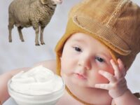 6 Aylık Bebeğe Koyun Yoğurdu Verilir mi?