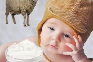 6 Aylık Bebeğe Koyun Yoğurdu Verilir mi?