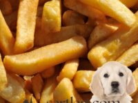 Köpekler Patates Kızartması Yiyebilir Mi?