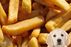 Köpekler Patates Kızartması Yiyebilir Mi?