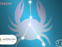 Dünyada Kaç Tane Yengeç Burcu Var