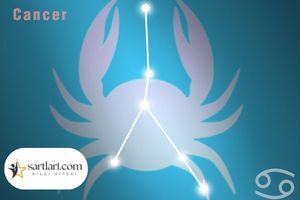 Dünyada Kaç Tane Yengeç Burcu Var