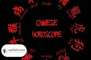 İkizler Burcu Çin Burcunda Nedir